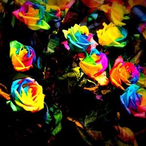 Meet your Posher, Maggie